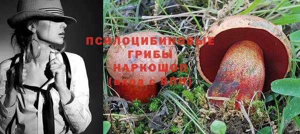 амф Алексеевка
